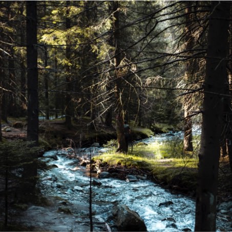 Unifamiliares espartales