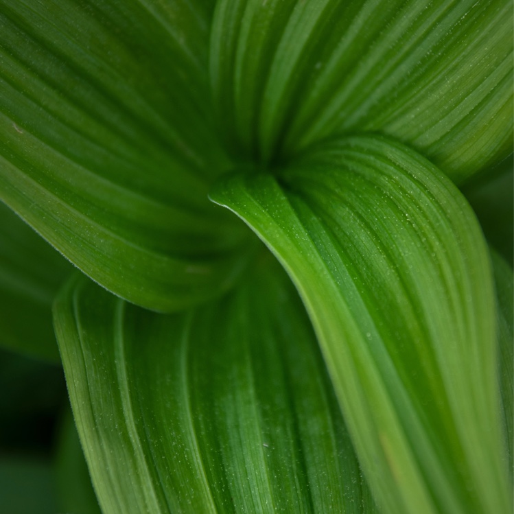 Passivhaus que es Cálculo de estructuras